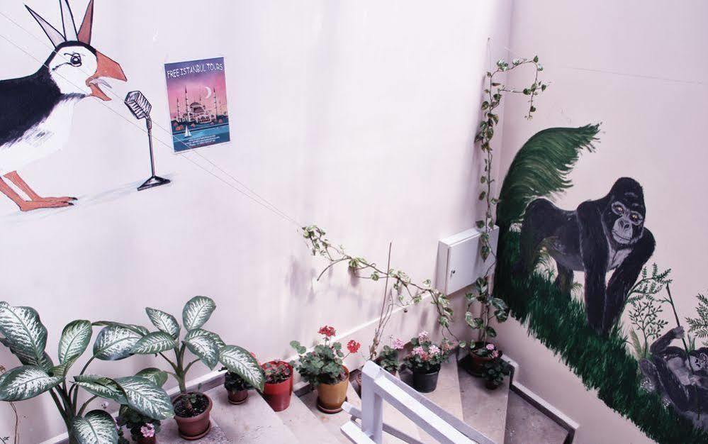 Puffin Boutique - Istanbul Hostel Exterior photo